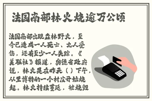 暴躁大妈荒野大镖客k9